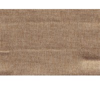 Northside 16 Fossil Northside 16 Fossil