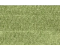 Northside 29 Kiwi Northside 29 Kiwi