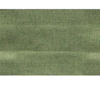 Northside 30 Turtle Northside 30 Turtle