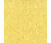 Vanessa Ritorto 0401 Vanessa Ritorto 0401