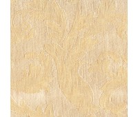 Vanessa Ritorto 0501 Vanessa Ritorto 0501