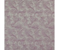 330 Florange 14 Florange Orchid 330 Florange 14 Florange Orchid