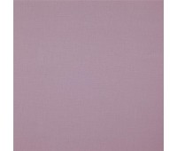 341 Canvas 12 Bonfire Iris 341 Canvas 12 Bonfire Iris