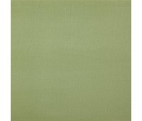 341 Canvas 20 Bonfire Sage 341 Canvas 20 Bonfire Sage