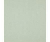 341 Canvas 37 Canvas Lichen 341 Canvas 37 Canvas Lichen