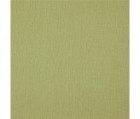 341 Canvas 38 Canvas Lizard 341 Canvas 38 Canvas Lizard