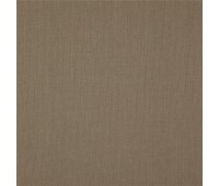 341 Canvas 39 Canvas Mushroom 341 Canvas 39 Canvas Mushroom