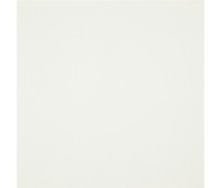 341 Canvas 41 Canvas Pearl 341 Canvas 41 Canvas Pearl